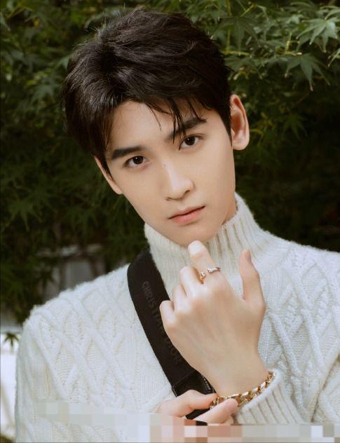 吃瓜爆料黄俊捷视频下载,吃瓜爆料背后的真相  第2张